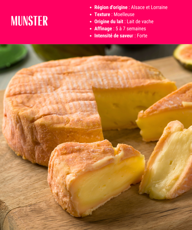 fiche descriptive du munster
