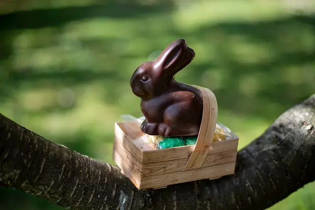 chocolate bunny