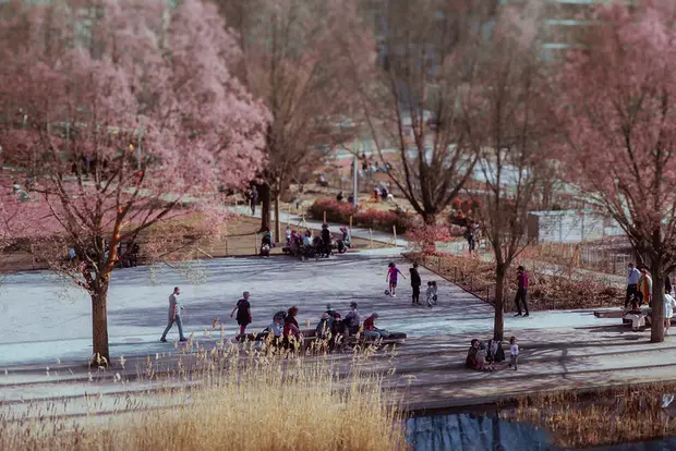 Parc Clichy-Batignolles-Martin-Luther-King