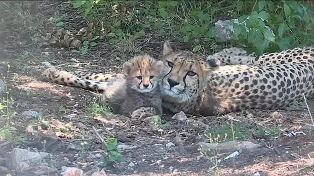 Parc zoologique de Lunaret