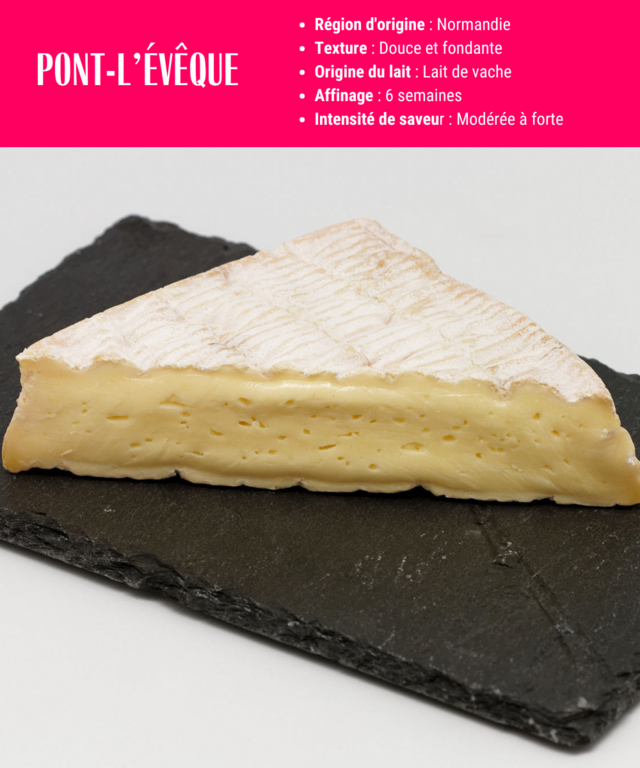 fiche descriptive du pont l'évêque