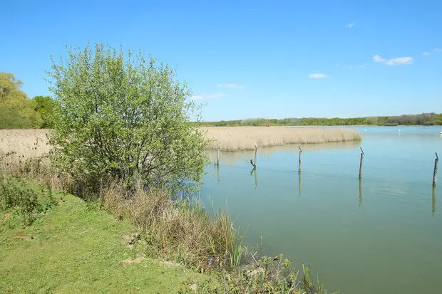 Réserve naturelle Saint Quentin en Yvelines