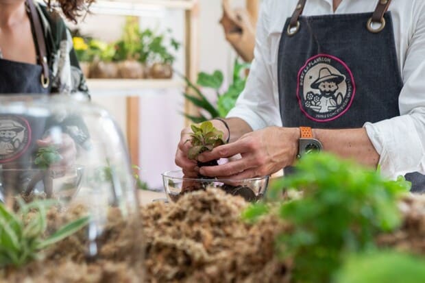 Atelier terrarium