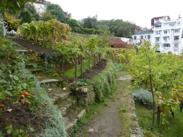 Le Clos de Montmartre