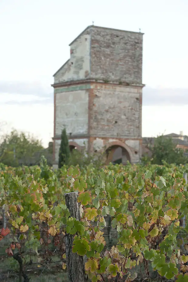 Vignoble de Fronton