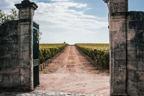 vignole saint-emilion