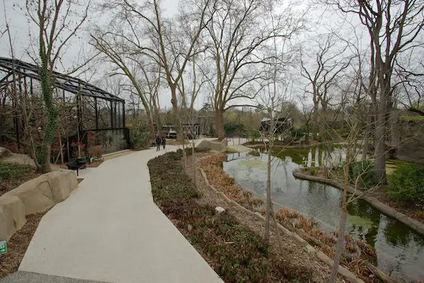 Zoo's pathways 