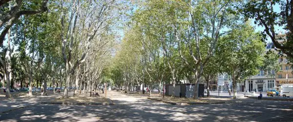 quartier les platanes Perpignan