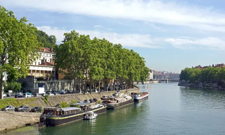 Saône