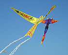 Festival International de Cerf-Volant