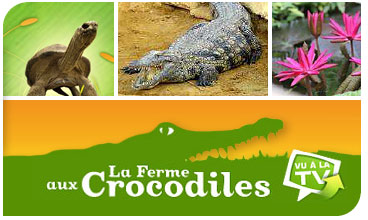 la ferme aux Crocodiles