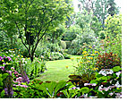 Jardin Medieval