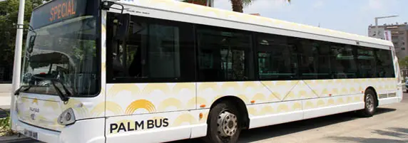 Palm Bus