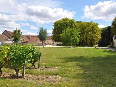 Les Pierres D'aurèle Chambres d'Hôtes