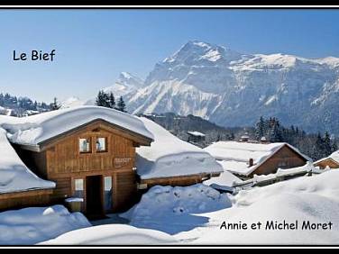 Demi Chalet Le Bief   Prox pistes