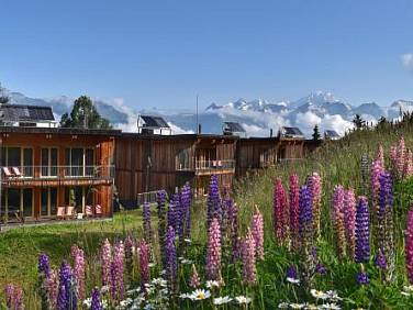 L'Aiguille Grive Chalets Hotel